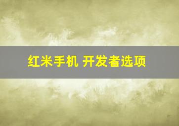 红米手机 开发者选项